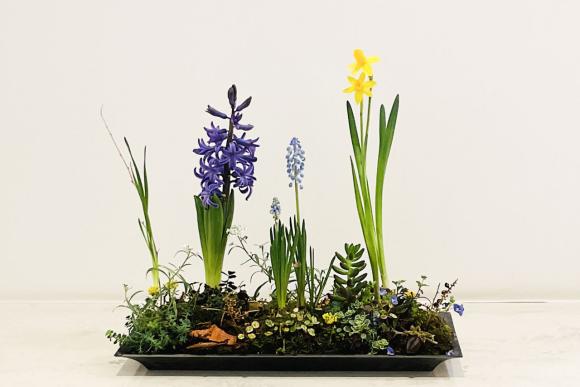 稲沢市グランツ歯科室で飾っている季節のお花