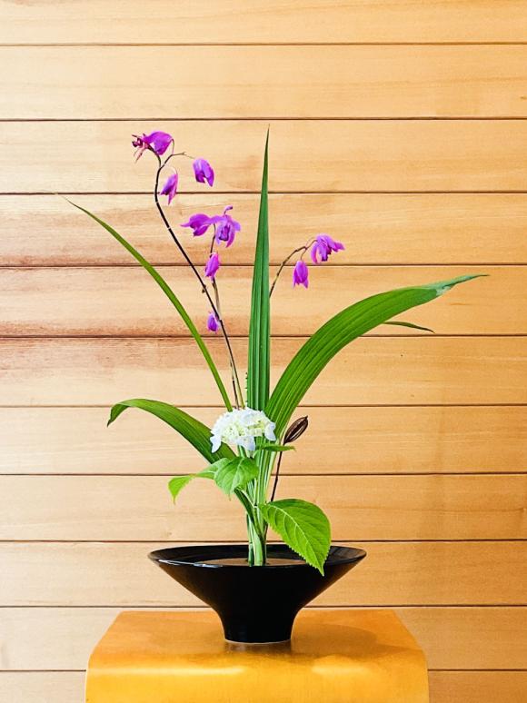 稲沢市グランツ歯科室季節の花