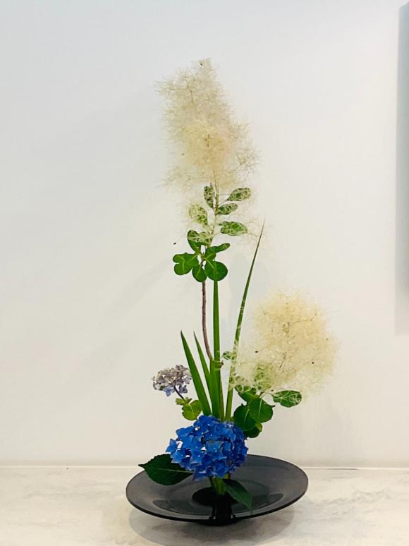 稲沢市グランツ歯科室季節の花